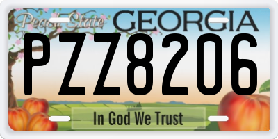 GA license plate PZZ8206