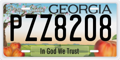 GA license plate PZZ8208
