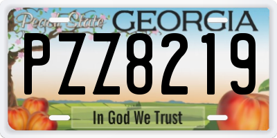 GA license plate PZZ8219
