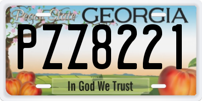 GA license plate PZZ8221