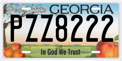 GA license plate PZZ8222
