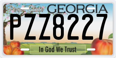 GA license plate PZZ8227