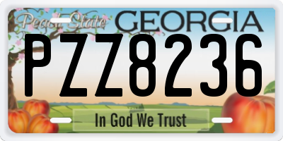 GA license plate PZZ8236
