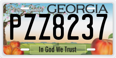 GA license plate PZZ8237