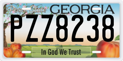GA license plate PZZ8238