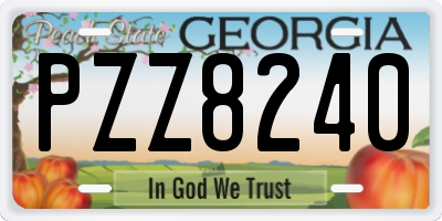 GA license plate PZZ8240