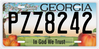 GA license plate PZZ8242