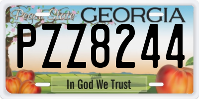 GA license plate PZZ8244