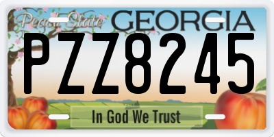 GA license plate PZZ8245
