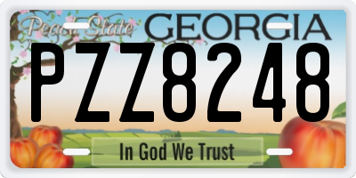 GA license plate PZZ8248