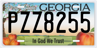 GA license plate PZZ8255
