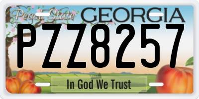 GA license plate PZZ8257