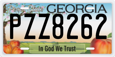 GA license plate PZZ8262