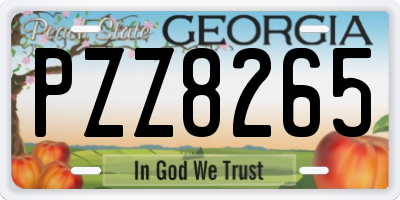 GA license plate PZZ8265