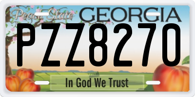 GA license plate PZZ8270