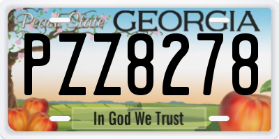GA license plate PZZ8278