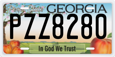GA license plate PZZ8280