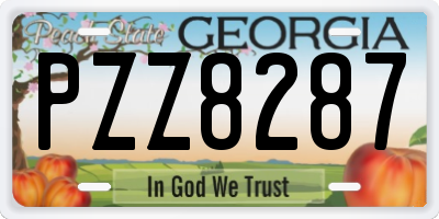 GA license plate PZZ8287