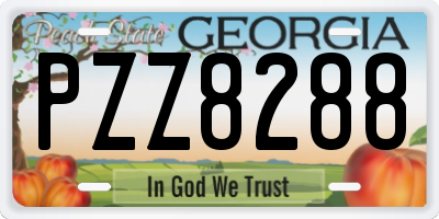 GA license plate PZZ8288