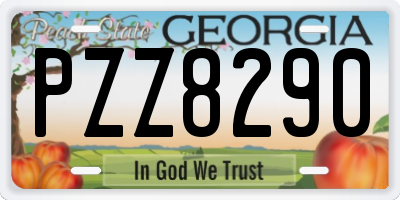 GA license plate PZZ8290