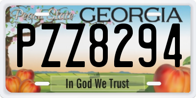 GA license plate PZZ8294