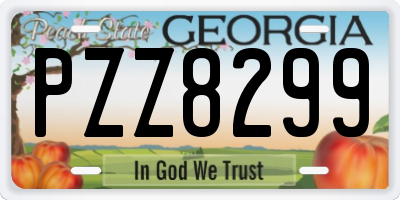 GA license plate PZZ8299