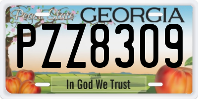 GA license plate PZZ8309