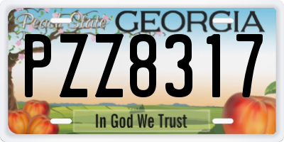 GA license plate PZZ8317