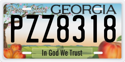 GA license plate PZZ8318