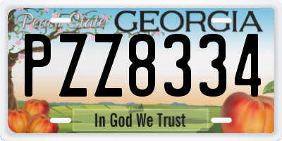 GA license plate PZZ8334