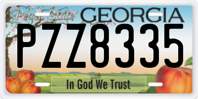 GA license plate PZZ8335