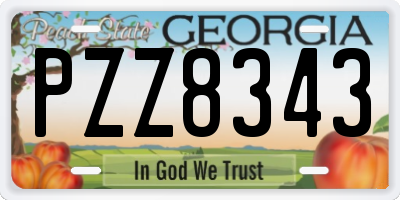 GA license plate PZZ8343