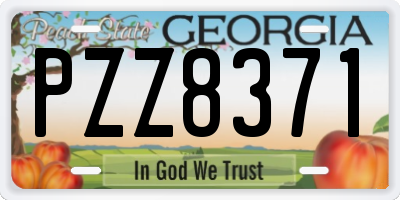 GA license plate PZZ8371