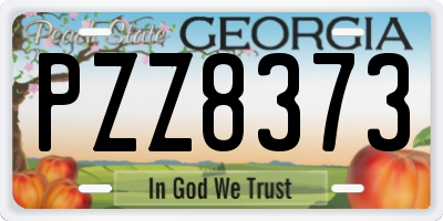 GA license plate PZZ8373