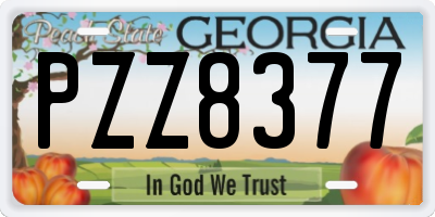 GA license plate PZZ8377