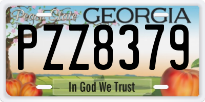GA license plate PZZ8379