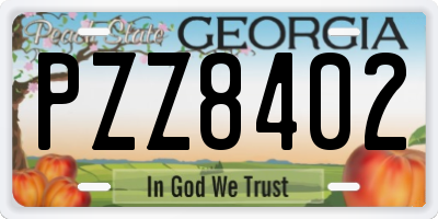 GA license plate PZZ8402