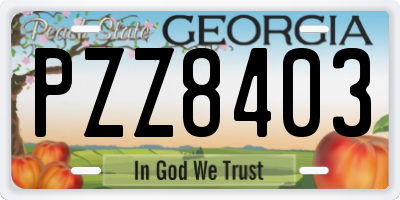 GA license plate PZZ8403