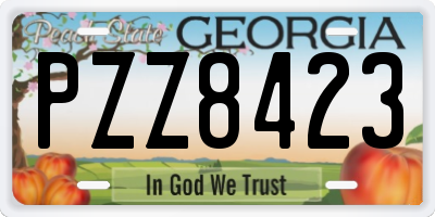 GA license plate PZZ8423