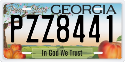 GA license plate PZZ8441