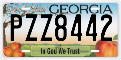 GA license plate PZZ8442