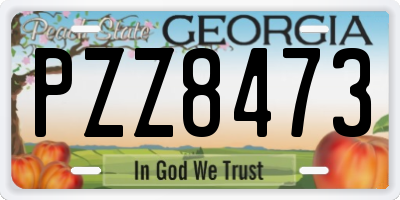 GA license plate PZZ8473