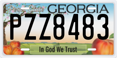 GA license plate PZZ8483