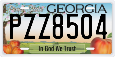 GA license plate PZZ8504
