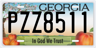 GA license plate PZZ8511