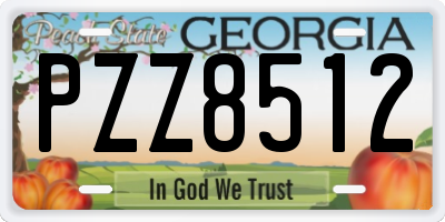 GA license plate PZZ8512