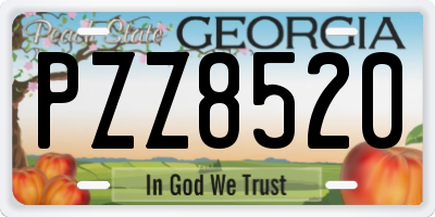GA license plate PZZ8520