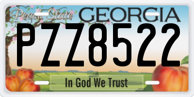 GA license plate PZZ8522