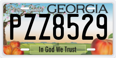GA license plate PZZ8529
