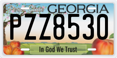 GA license plate PZZ8530